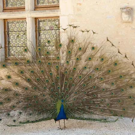 Château De Bois Couette-café 3*