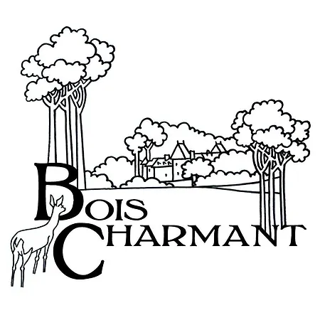 Nocleg ze śniadaniem Chateau De Bois 3*