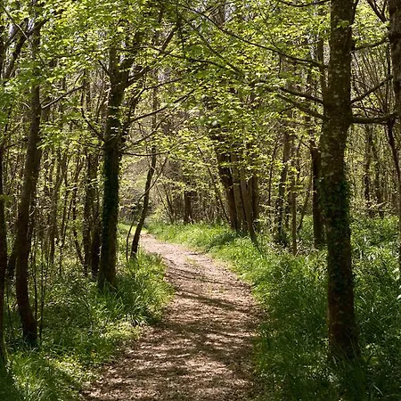 Couette-café Château De Bois 3*
