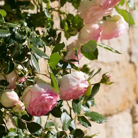 Chateau De Bois 3* Les Nouillers