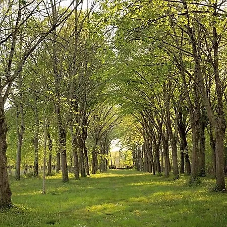 Chateau De Bois 3*