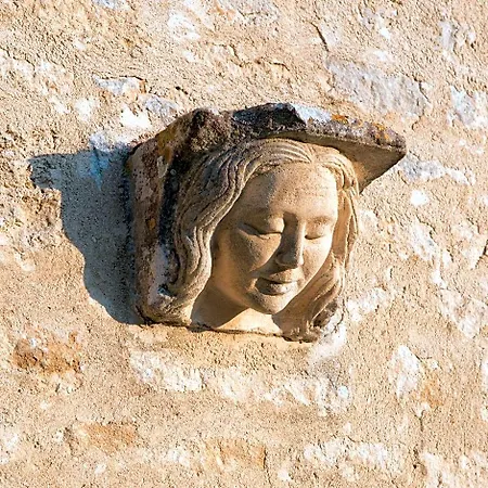 Chateau De Bois Les Nouillers