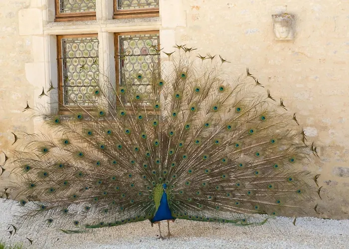 Chateau De Bois Bed & Breakfast 3*