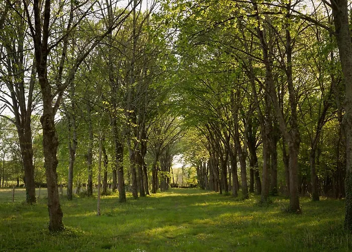 Bed and breakfast Chateau De Bois Les Nouillers