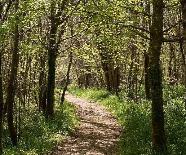 Bed and breakfast Chateau De Bois 3*