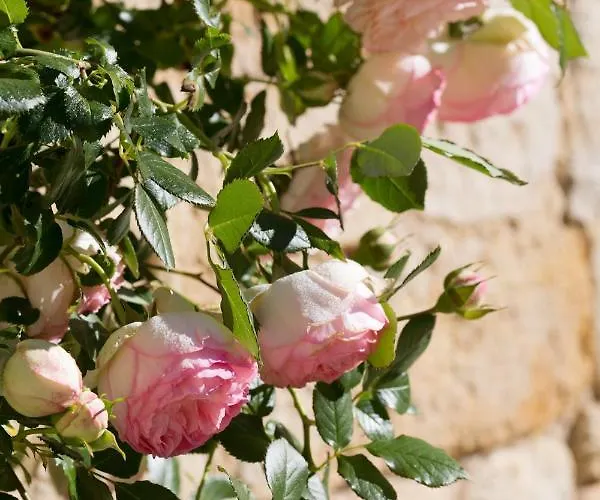 Chateau De Bois 3* Les Nouillers